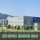 현대글로비스 오토옥션 방문기