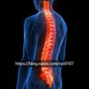 유정행정사 이미지