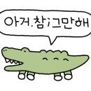 보보스인파라다이스 이미지
