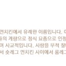 루루캣 이미지