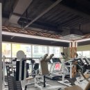 임팩트프리미엄 피티샵 이미지