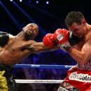 모던복싱 이미지