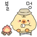 백룡야영장 이미지
