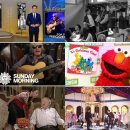 모닝펠리스 이미지