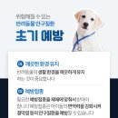 뉴케어 동물병원 이미지