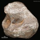 운석(물질) 陨石 （物质） stony meteorite 운석종류 운석감정 운석수집 운석가격 이미지