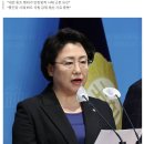 조국혁신당, &#39;국힘 위헌정당 해산 청구&#39; 진정서 법무부에 제출 이미지