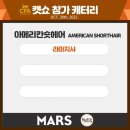 캐터리 페르마타 이미지