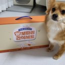 강아지 간식 한남동 넘버원 양꼬치 양보따리 간식세트 개린이 선물 추천