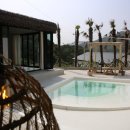 코스타리몬 이미지