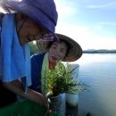 함초농장 이미지