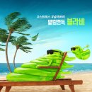 감 픽쳐스 이미지