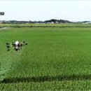 오후5시;사과밭 이미지