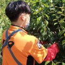 박정미농장 이미지