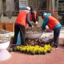 태평2동 주민센터 이미지