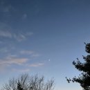 초지공원(하) | 모두가 버터떡 외칠 때 초코바게트 찾아 다니는 사람