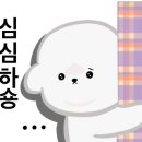 털찐강아지 이미지