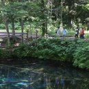 초록바람 이미지