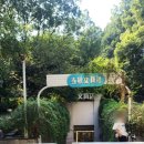 (주)남경 | 중국 난징(남경) 여행 가볼만한 곳: 세계에서 가장...先锋书店, Librairie Avant-Garde 방문 솔직 후기