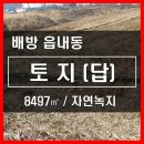 풍녹지 이미지