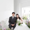 스튜디오비비드
