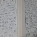 다다모모 이미지