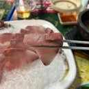 수유역 대방어 맛집 주말 오픈런 후기 - 대광어회집