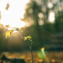 구명한의원 이미지