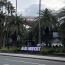 신라제과 | 33주임산부 제주1일차 | 신라호텔 제주빵지순례 베이커블 호도제과 은희네해장국 소색채본