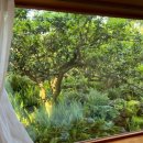 폴개우영 이미지