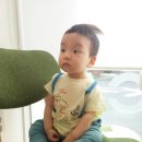 달곰스