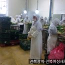 농업회사법인(주)그린피아