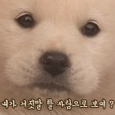 메종41 이미지