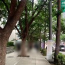 엘 - 용산구 우사단로10가길 15 | 종각 | 종로 수제버거 맛집 릴버거 엘 타코 버거 후기