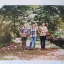 농업회사법인 숲이랑 제2농장 이미지