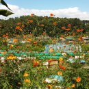 호운농장 이미지