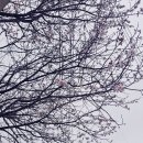 익산할인유통 이미지