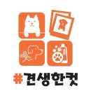 이의동 애견샵 견생한컷 위치.가격.시간.후기