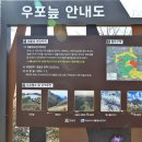 우포가시연꽃마을 | 창녕 우포늪 생명길을 거닐면서...