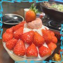 홍대 술집 신서울전 합정점 보쌈의 진수를 맛보다