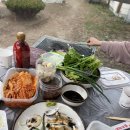 돌고개 휴 펜션 이미지