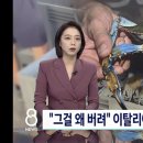 꽃게나라 이미지