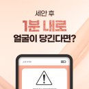 리드프레쉬