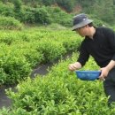 박성준 농장 이미지