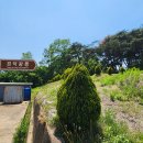 신문왕릉앞금어당 | 659. 경주. 경덕왕릉