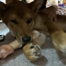 우리들의월정리 이미지