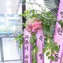 (주)펫닥 이미지