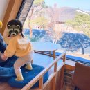 달의 정원 이미지