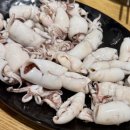 국수먹는꼴뚜기 이미지