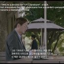 스케치독 이미지